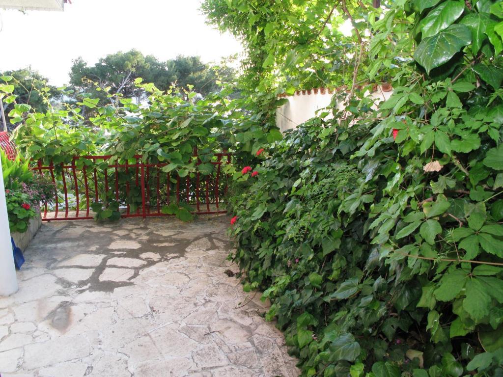 Apartments Ana Trogir Zimmer foto